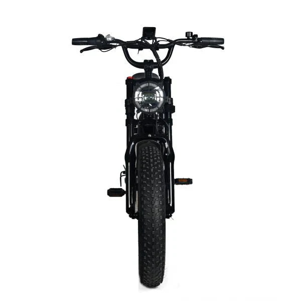 Electric Mountain Bike for Adults | 20 x 4.0 Fat Tires, 1000W Motor, 48V 20Ah Removable Battery, Max Speed 45MPH, Shi Mano 7-Speed for Off-Road Adventures