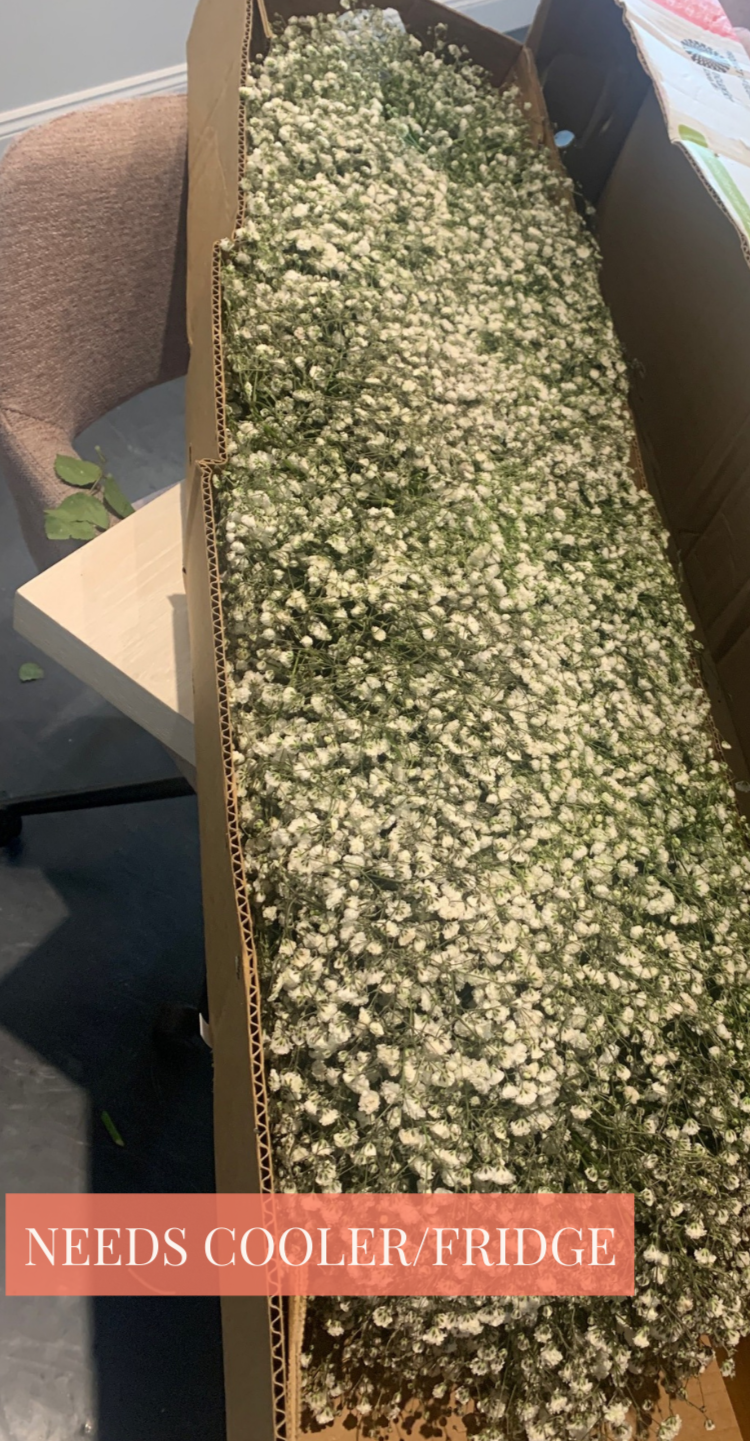 White Baby's Breath Garland