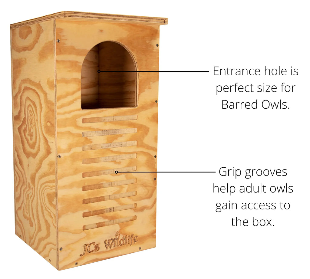 JCs Wildlife Barred Owl Nesting Box – Treated Exterior Grade Plywood – Mounting Hardware and Pine Shavings Included – Dedicated Clean Out Door for Easy Cleaning – Made in The USA
