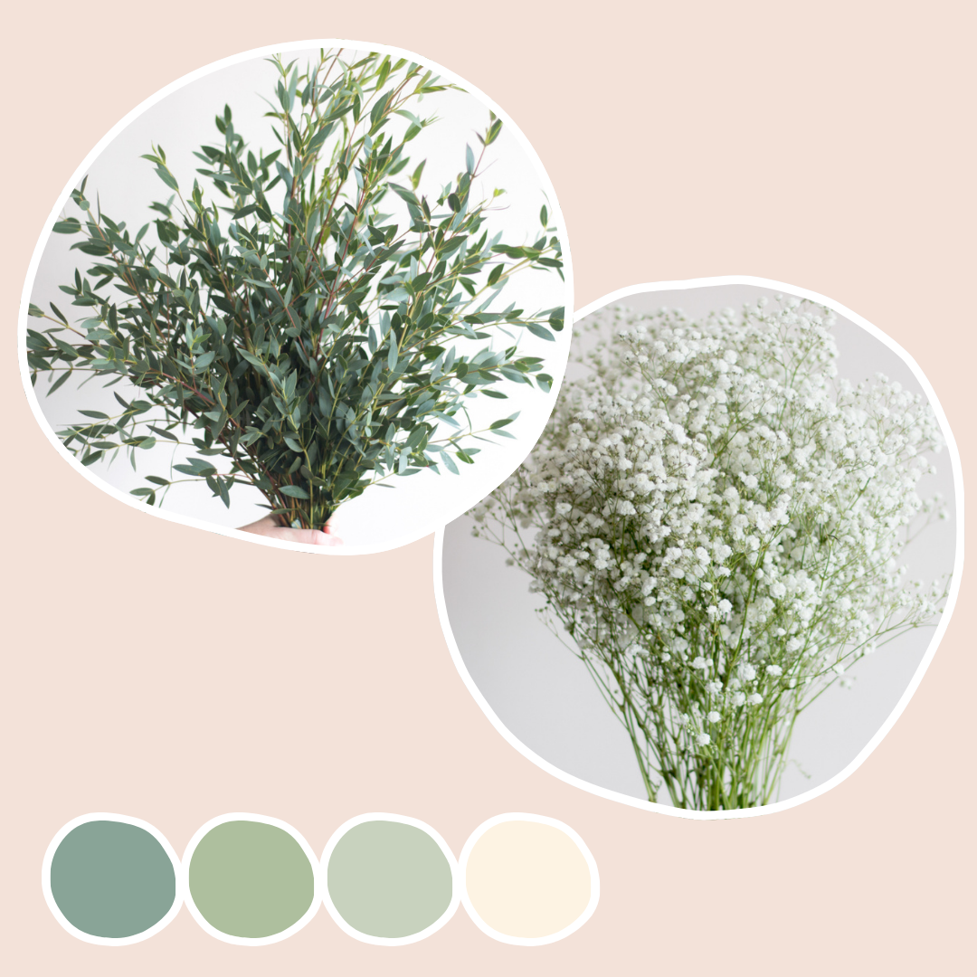 Parvifolia Eucalyptus and Baby's Breath Mixed Box
