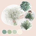 Eucalyptus Mix and Baby's Breath Mixed Box