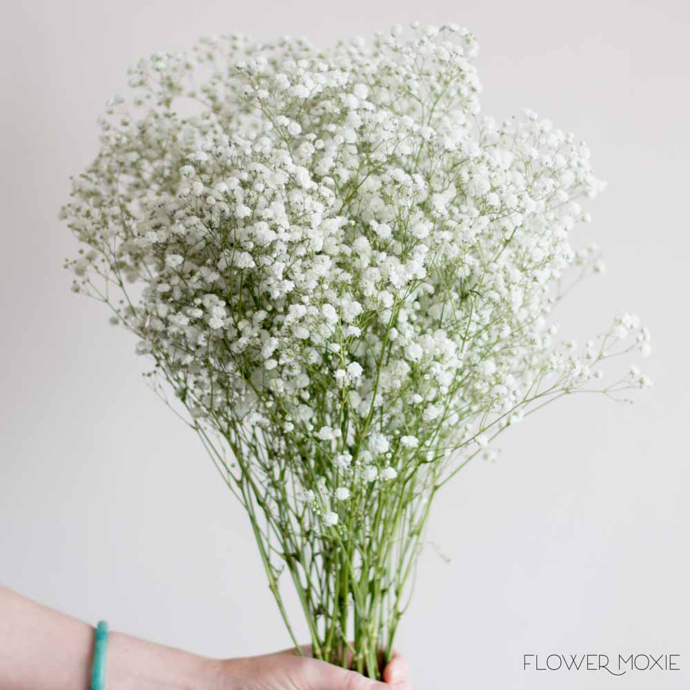 Large Xlence Baby's Breath Flower