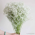 Large Xlence Baby's Breath Flower