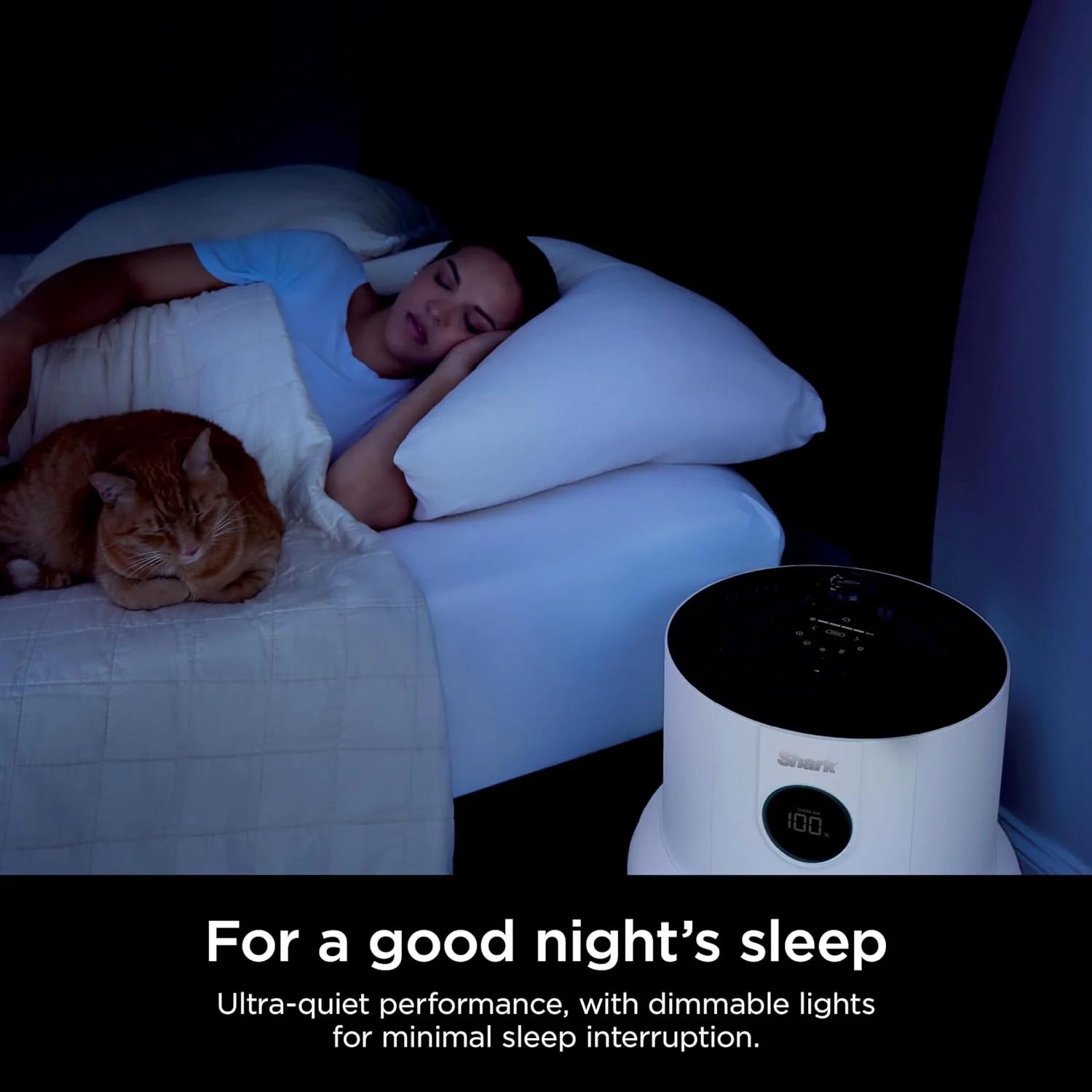Air Purifier Compact Pro with Long-lasting HEPA Exceeding Filtration, For Pet Dander, Dust, Smoke, Allergens, Up to 250 sq. ft.