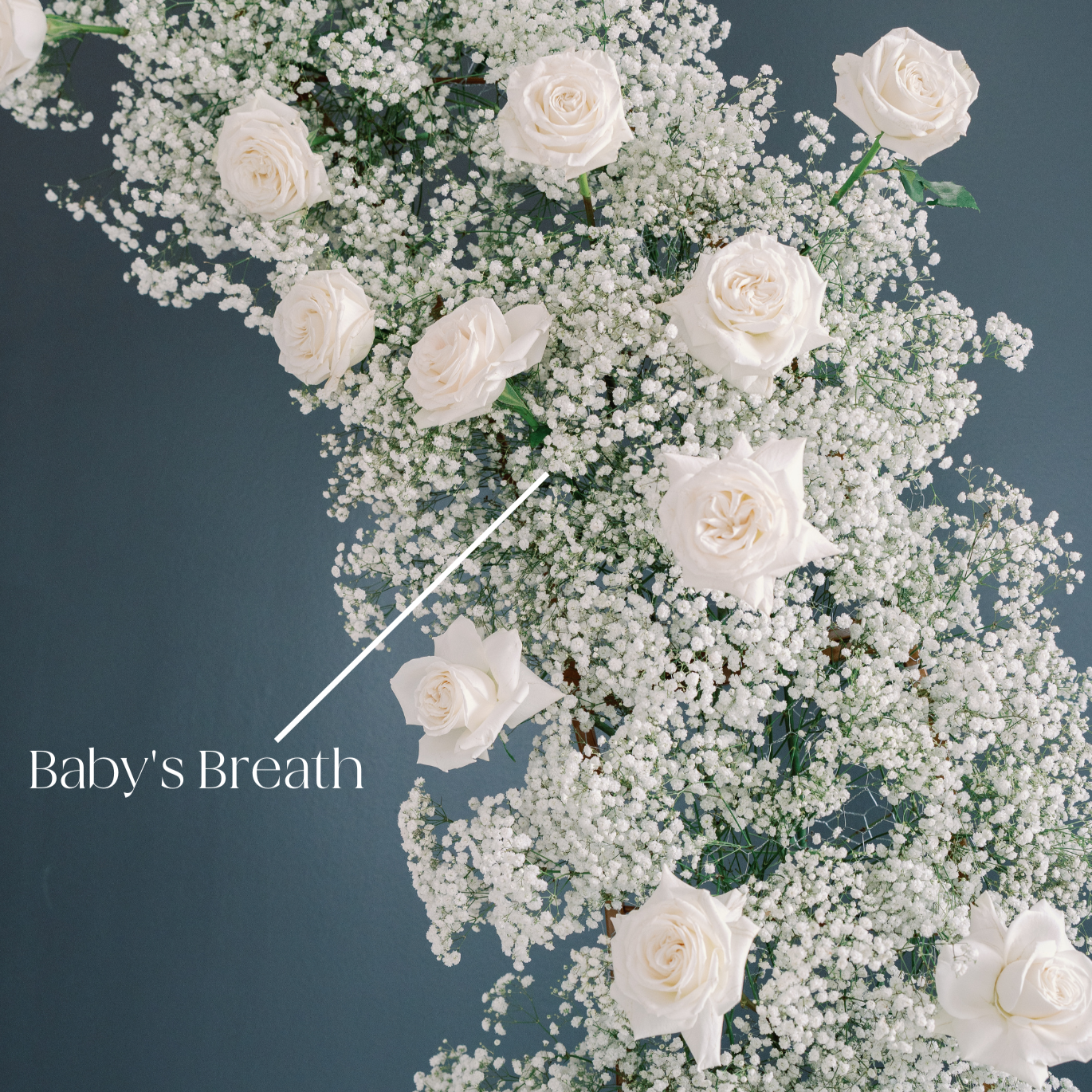 Large Xlence Baby's Breath Flower