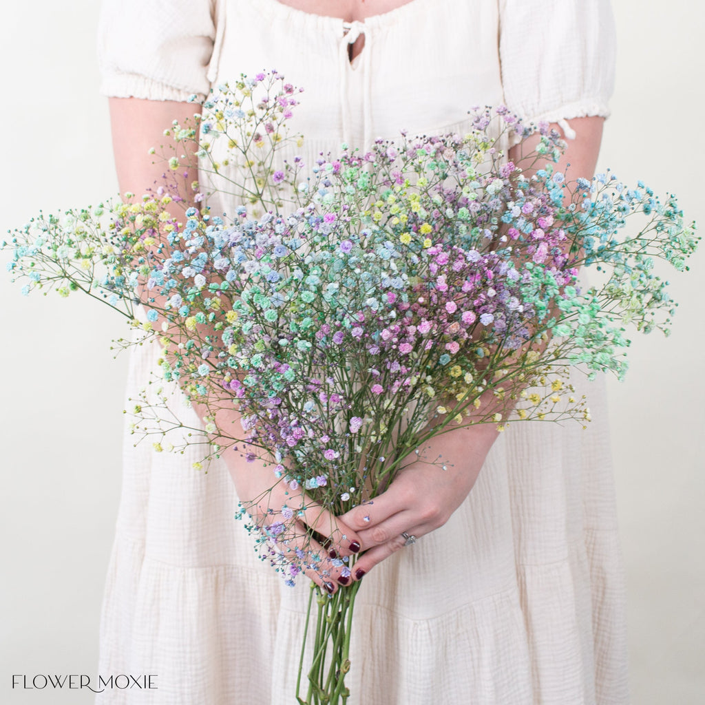 Tinted Rainbow Baby's Breath Flower
