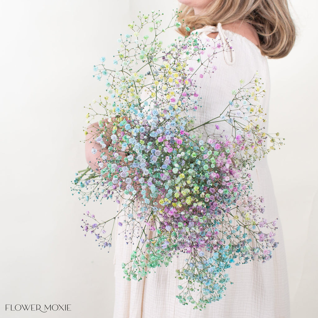 Tinted Rainbow Baby's Breath Flower