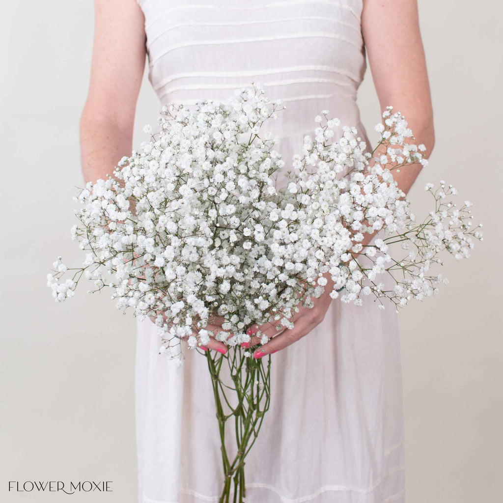 Large Xlence Baby's Breath Flower