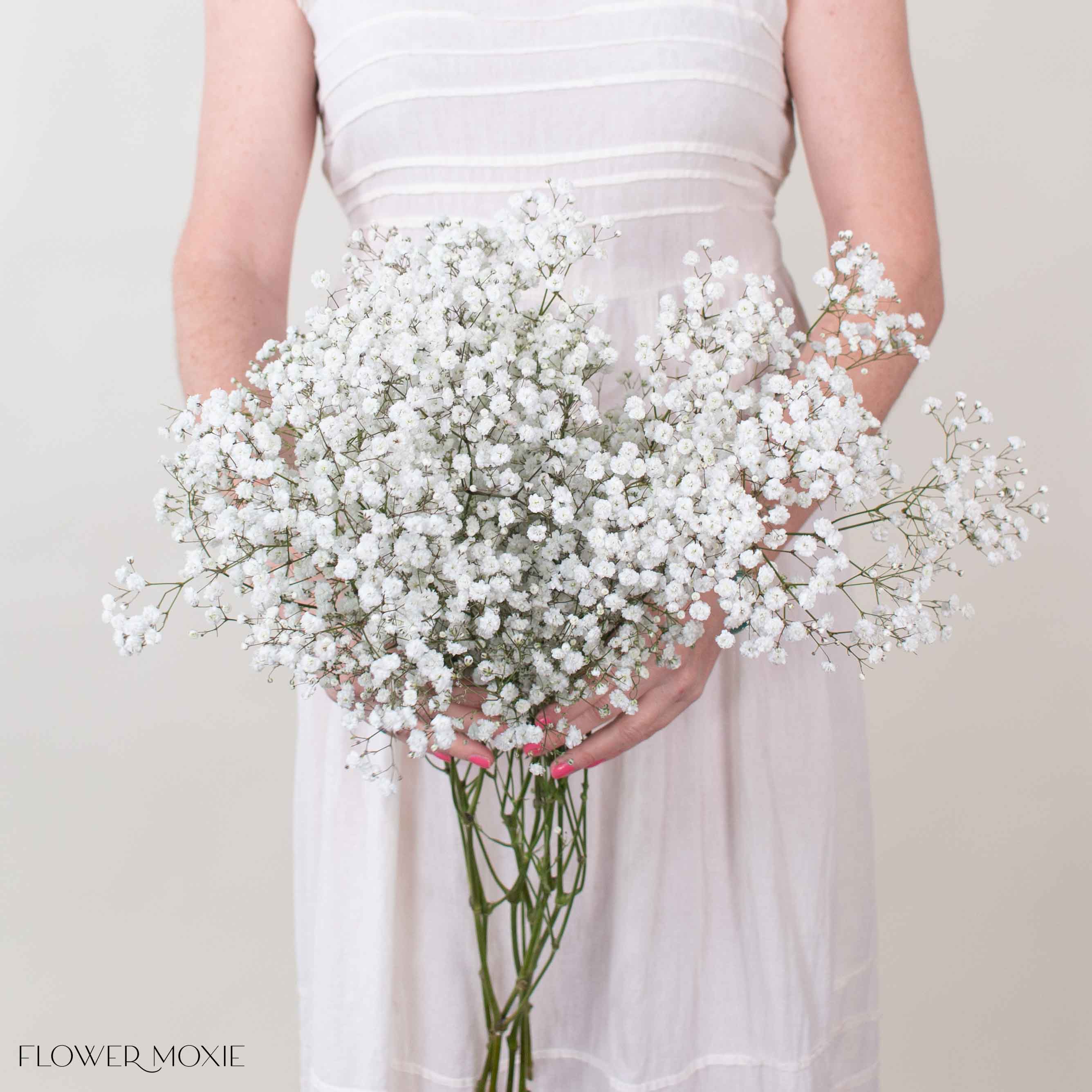 Large Xlence Baby's Breath Flower