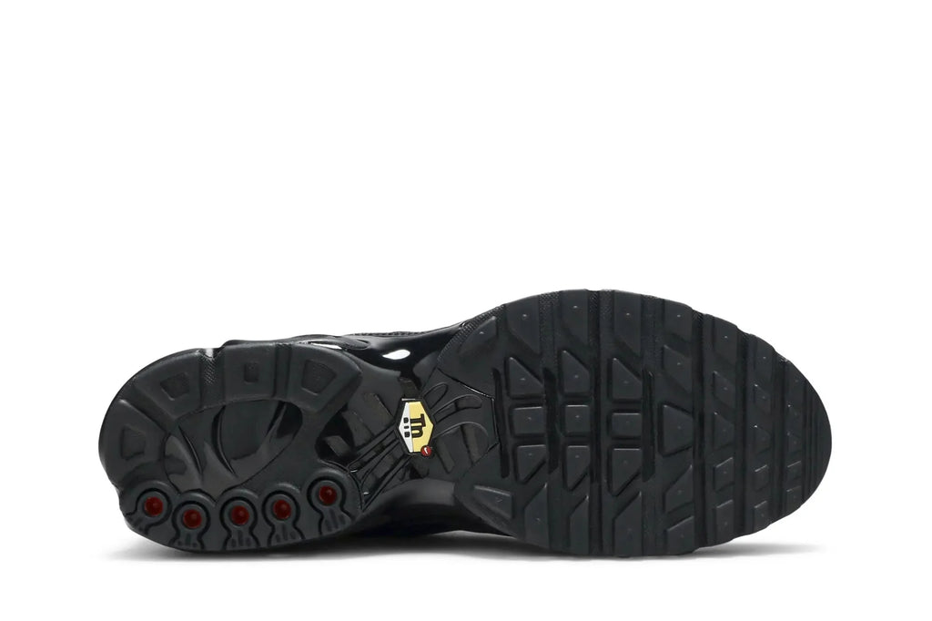 Air Max Plus TN 'Triple Black'